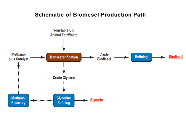 Biodiesel production