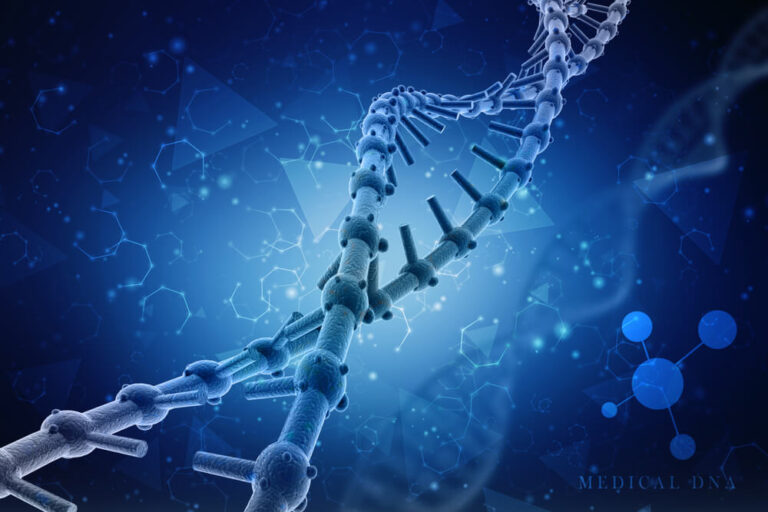 CLONING VECTORS AND EXPRESSION VECTORS (Useful for CSIR NET /DBT’24)