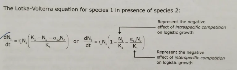 Lotka Volterra model [Useful for competitive exams’24 of Life Science]