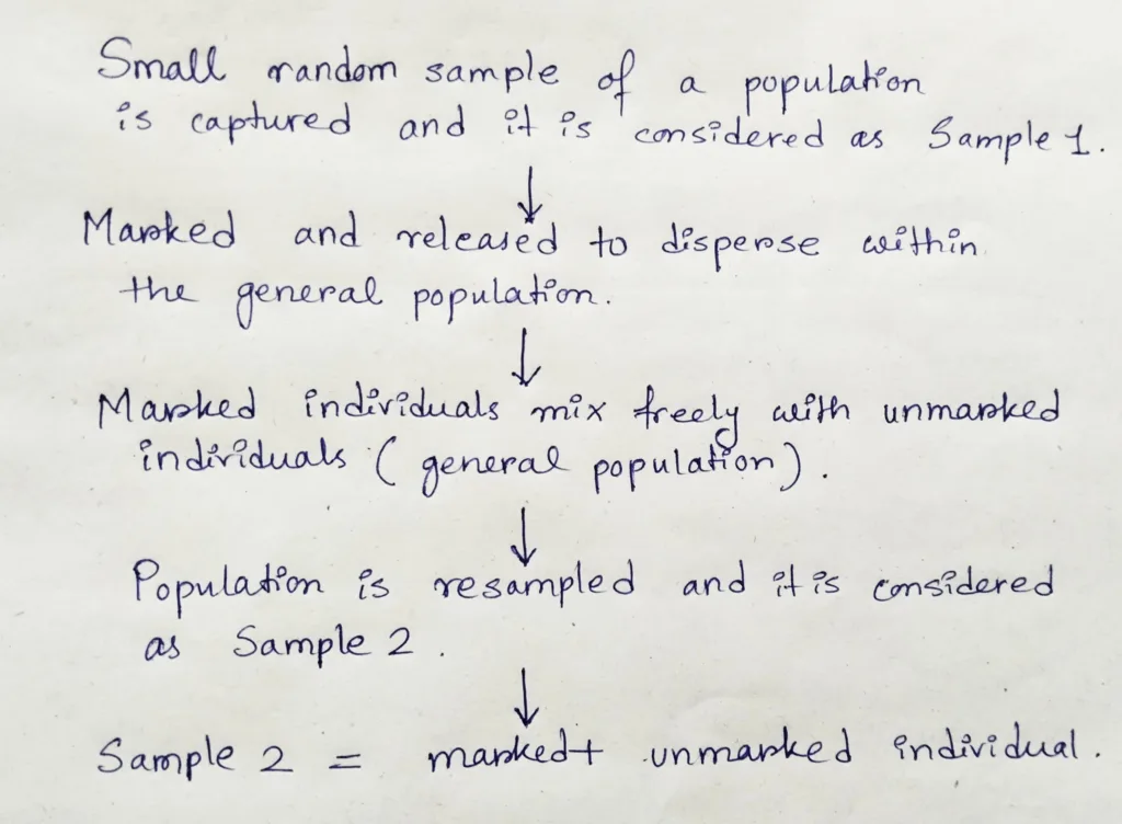 Handwritten schematic representation of the method