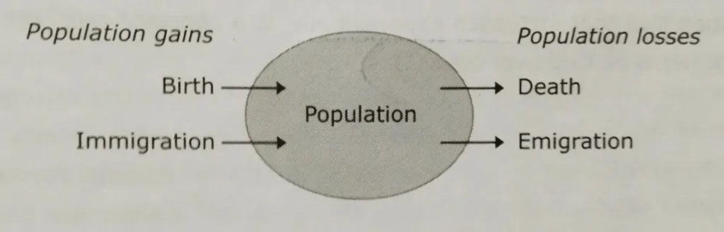 Population Growth