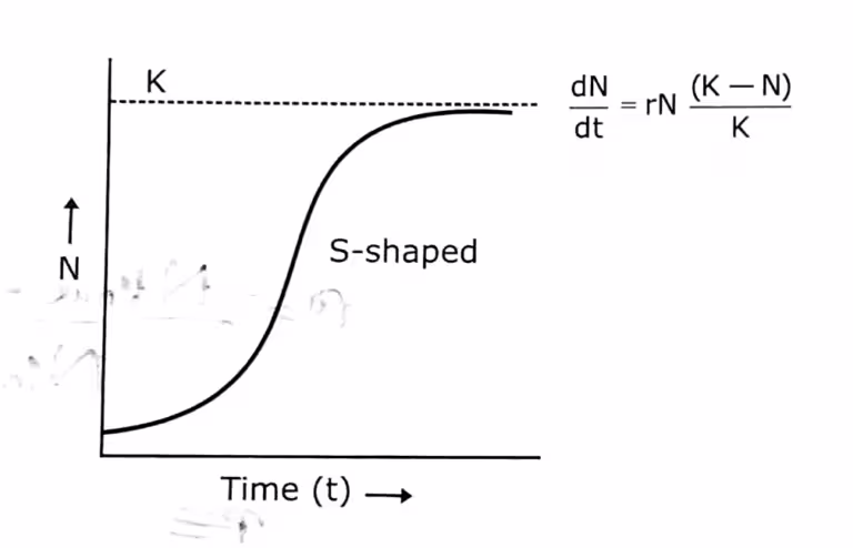 Population Growth- Logistic growth