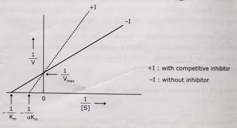 Competitive Inhibition Graph
