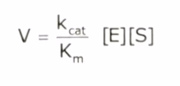 Catalytic efficiency