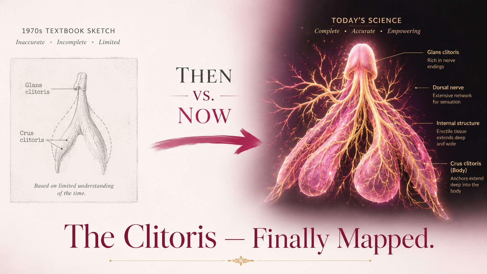 Scientists Just Made a 3D Map of Clitoris Nerves — Here's What They Found